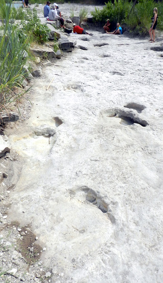 Illustration for article titled From Footprints to the Feet that Made Them